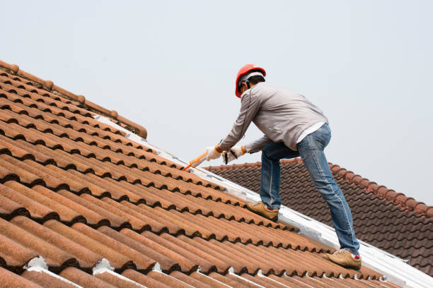 Steel Roofing in Bonne Terre, MO