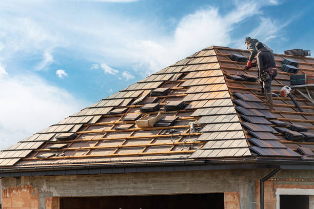 Best Roof Leak Repair  in Bonne Terre, MO
